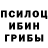Галлюциногенные грибы Psilocybine cubensis Kailen Howard